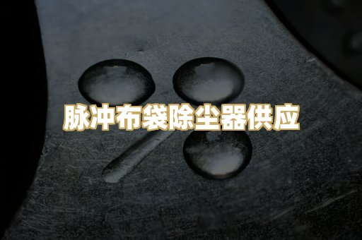 脉冲布袋除尘器供应